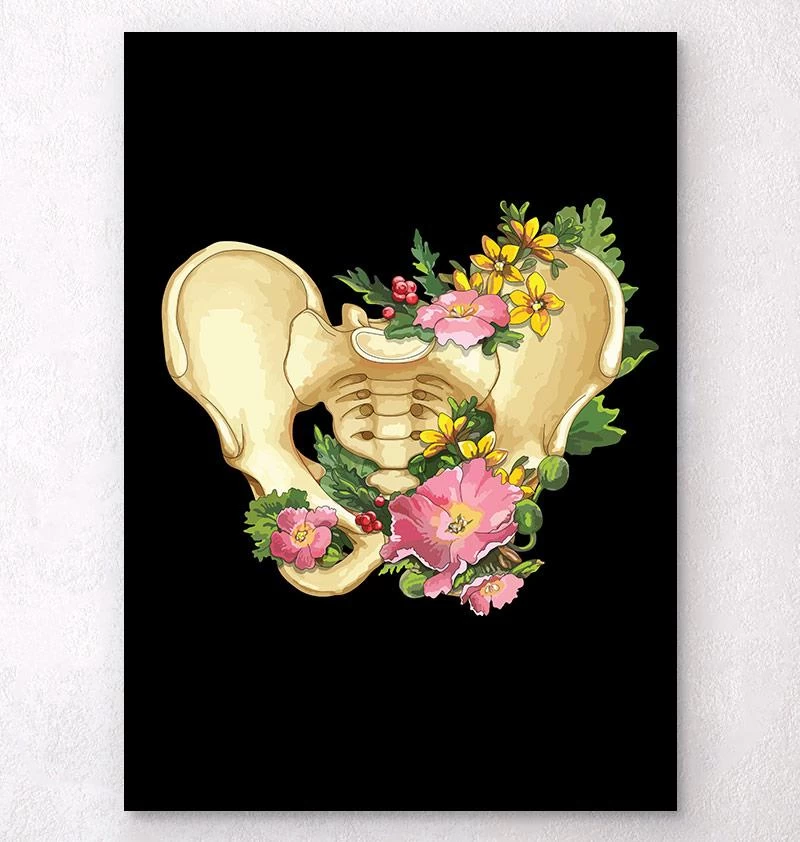 Pelvis Anatomy - Floral - Black 3 Pelvis Anatomy - Floral - Black