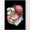 Stomach Anatomy - Floral - Black -Codex Anatomicus Shop LPA521 v