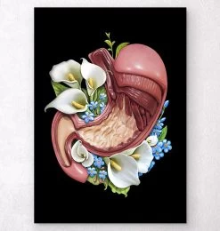Stomach Anatomy - Floral - Black