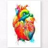 Anatomy Of The Heart - Watercolor Splash -Codex Anatomicus Shop LPA528