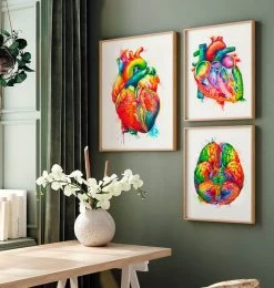Anatomy Of The Heart - Watercolor Splash -Codex Anatomicus Shop LPA528 2