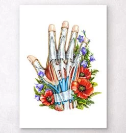Hand Anatomy - Floral - White