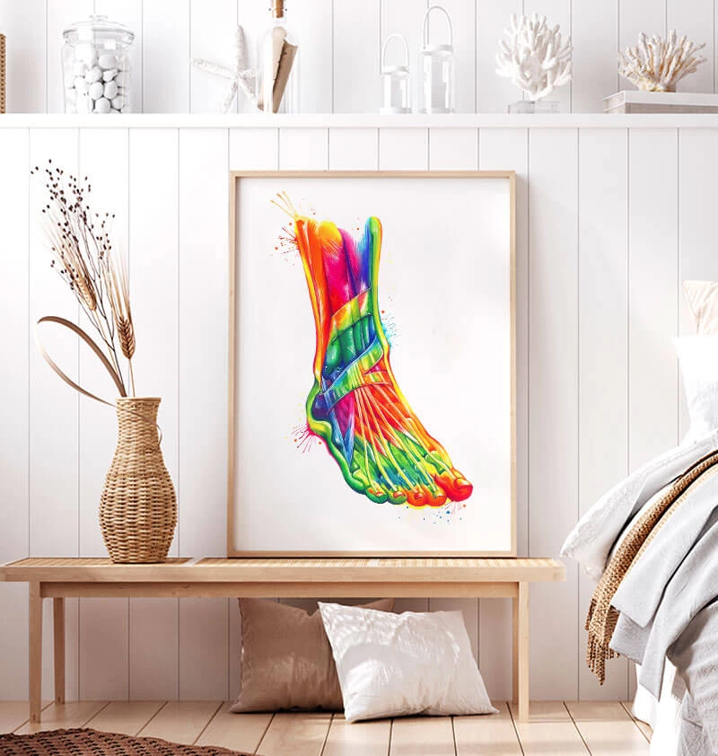 Foot And Ankle Anatomy - Watercolor Splash 4 Foot And Ankle Anatomy - Watercolor Splash - Image 2