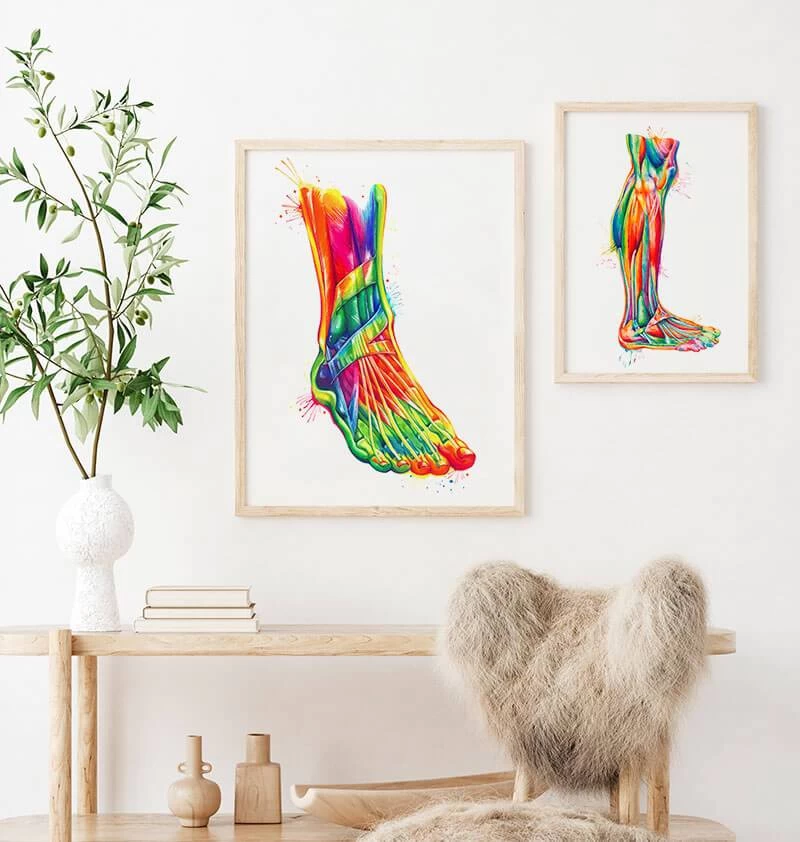 Foot And Ankle Anatomy - Watercolor Splash 5 Foot And Ankle Anatomy - Watercolor Splash - Image 3