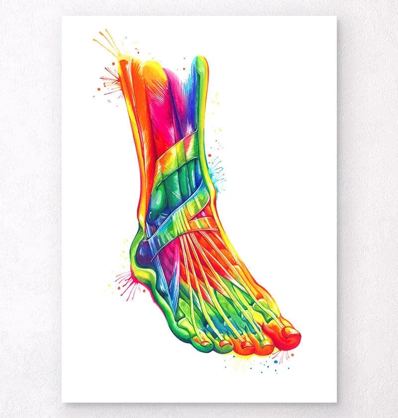 Foot And Ankle Anatomy - Watercolor Splash 3 Foot And Ankle Anatomy - Watercolor Splash