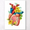 Heart Anatomy III - Floral - White -Codex Anatomicus Shop LPA541