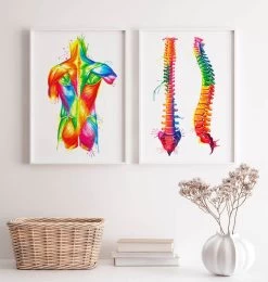 Back Muscles - Watercolor Splash -Codex Anatomicus Shop LPA543 2 8d4e7d76 4b63 481b 8bd4 4623a029a2c5