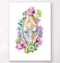 Knee Anatomy - Floral - White