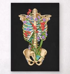 Rib Cage Anatomy II - Floral - Black