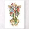 Rib Cage Anatomy II - Floral - White -Codex Anatomicus Shop LPA548