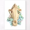Dog Skull - Floral - White -Codex Anatomicus Shop LPA551