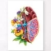 Spleen Anatomy - Floral - White 2 Spleen Anatomy - Floral - White -Codex Anatomicus Shop LPA553