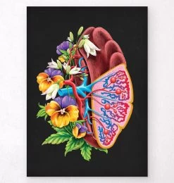 Spleen Anatomy - Floral - Black
