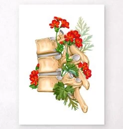 Spine Anatomy II - Floral - White