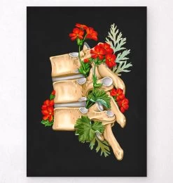 Spine Anatomy II - Floral - Black