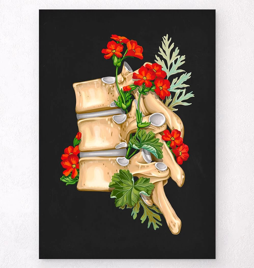 Spine Anatomy II - Floral - Black 3 Spine Anatomy II - Floral - Black