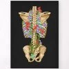 Back Skeleton - Floral - Black -Codex Anatomicus Shop LPA561