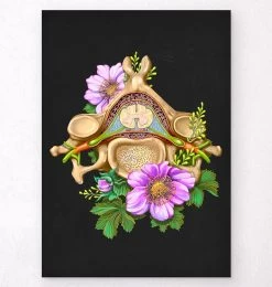 Cervical Vertebrae - Floral - Black
