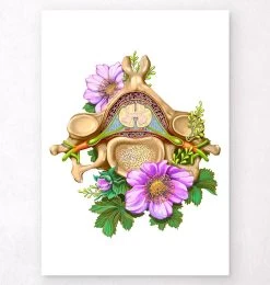 Cervical Vertebrae - Floral - White