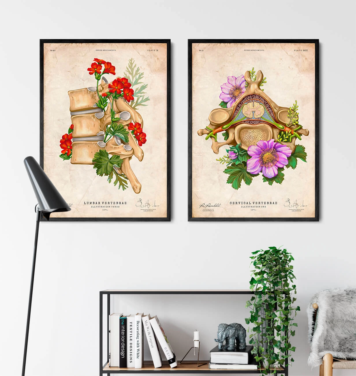 Cervical Vertebrae - Floral - Vintage 5 Cervical Vertebrae - Floral - Vintage - Image 3