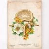 Lumbar Vertebrae - Floral - Vintage 2 Lumbar Vertebrae - Floral - Vintage -Codex Anatomicus Shop LPA565