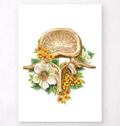 Lumbar Vertebrae - Floral - White