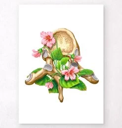Thoracic Vertebrae - Floral - White