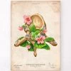 Thoracic Vertebrae - Floral - Vintage -Codex Anatomicus Shop LPA570 655001b7 1da3 4e83 a5d1 c5cac0c39bd4