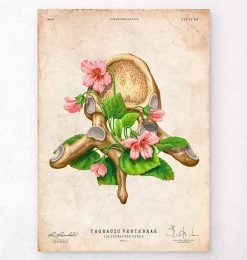 Thoracic Vertebrae - Floral - Vintage
