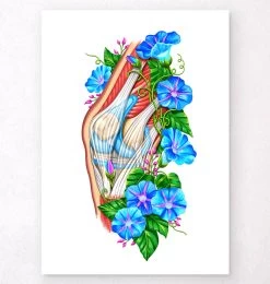 Knee Anatomy II - Floral - White
