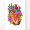 Heart Anatomy IV - Floral - White 2 Heart Anatomy IV - Floral - White -Codex Anatomicus Shop LPA589