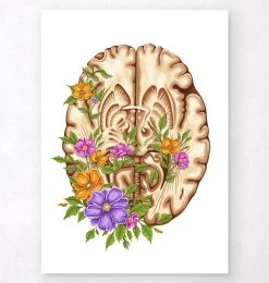 Brain Anatomy III - Floral - White