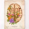 Brain Anatomy III - Floral - Vintage