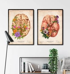 Brain Anatomy III - Floral - Vintage -Codex Anatomicus Shop LPA593 3