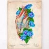 Knee Anatomy II - Floral - Vintage