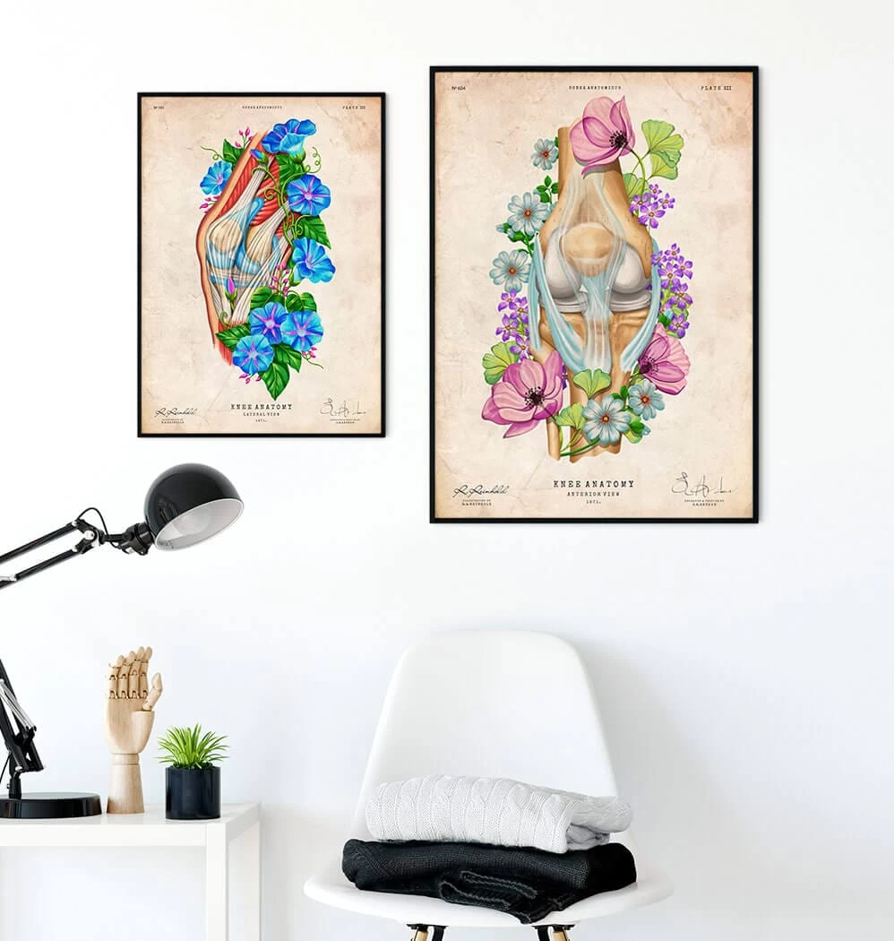 Knee Anatomy II - Floral - Vintage 5 Knee Anatomy II - Floral - Vintage - Image 3