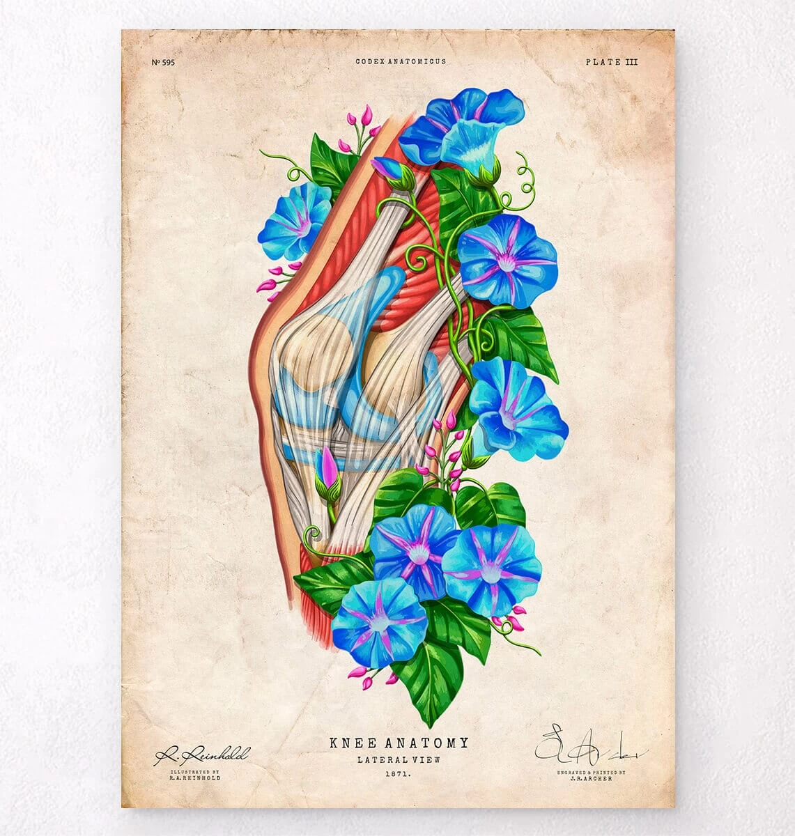 Knee Anatomy II - Floral - Vintage 3 Knee Anatomy II - Floral - Vintage