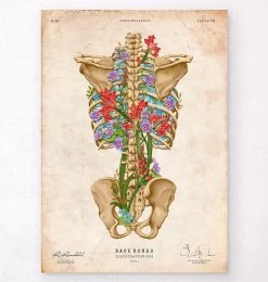 Back Skeleton - Floral - Vintage