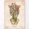 Rib Cage Anatomy II - Floral - Vintage -Codex Anatomicus Shop LPA600