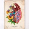 Spleen Anatomy - Floral - Vintage