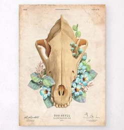 Dog Skull - Floral - Vintage