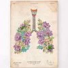 Lungs Anatomy - Floral - Vintage -Codex Anatomicus Shop LPA606