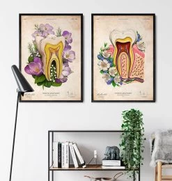 Tooth Anatomy - Floral - Vintage -Codex Anatomicus Shop LPA613 3