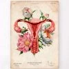 Uterus Anatomy - Floral - Vintage