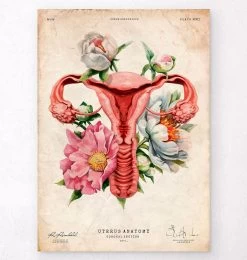 Uterus Anatomy - Floral - Vintage