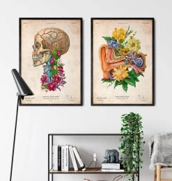 Ear Anatomy - Floral - Vintage -Codex Anatomicus Shop LPA619 3