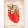 Heart Anatomy II - Floral - Vintage -Codex Anatomicus Shop LPA623