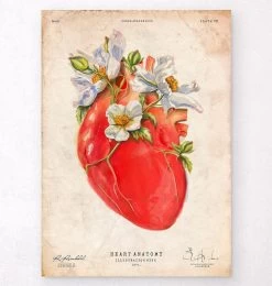 Heart Anatomy II - Floral - Vintage