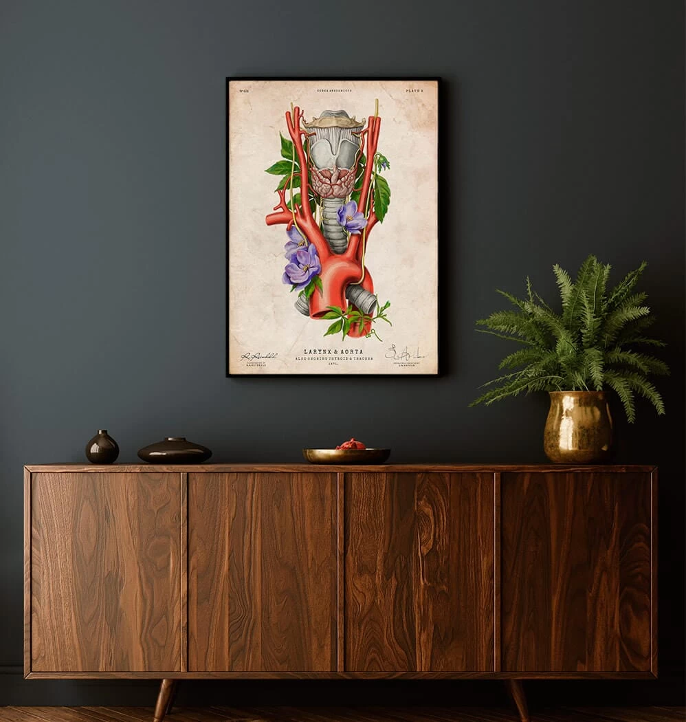 Larynx, Thyroid And Aorta - Floral - Vintage 4 Larynx, Thyroid And Aorta - Floral - Vintage - Image 2