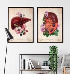 Liver Anatomy - Floral - Vintage 7 Liver Anatomy - Floral - Vintage -Codex Anatomicus Shop LPA627 3